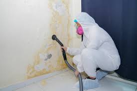 Best Attic Mold Removal  in Eastvale, CA